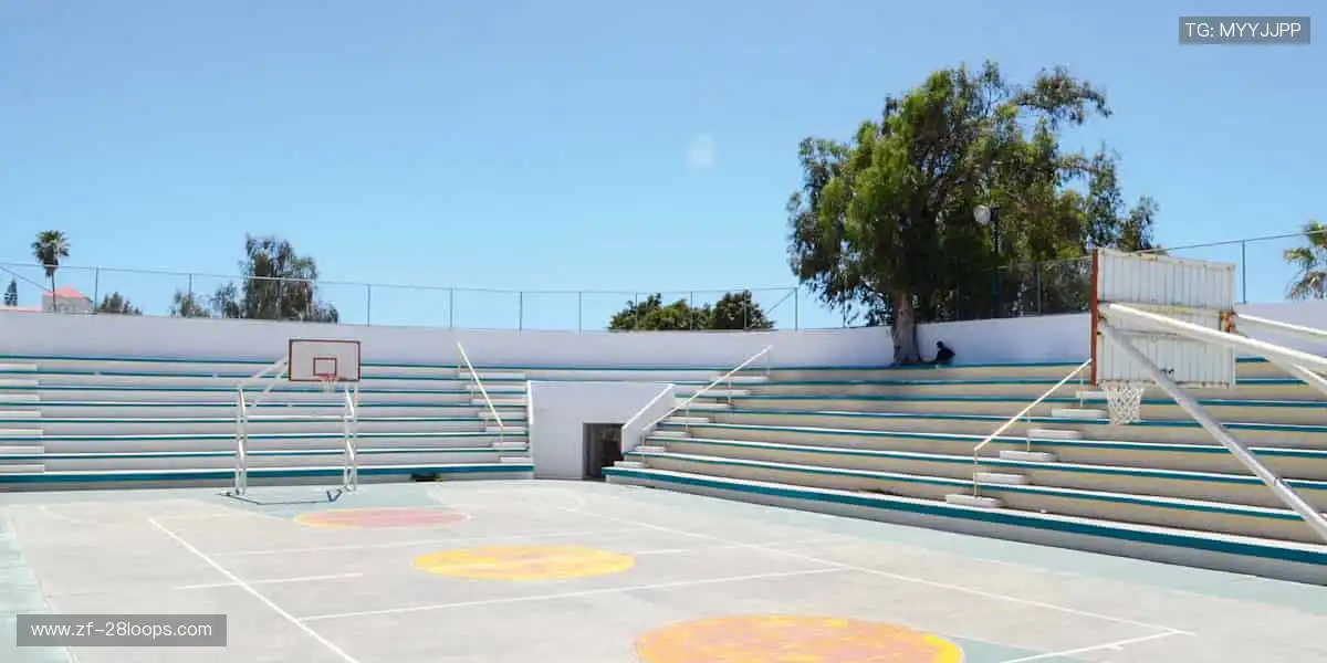 🔥【赛事名称】热血开赛！巅峰对决，勇往直前🏆